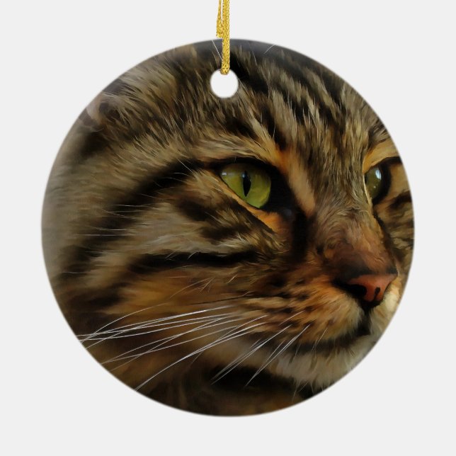 Aslan The Long Haired Tabby Cat Ceramic Tree Decoration (Back)