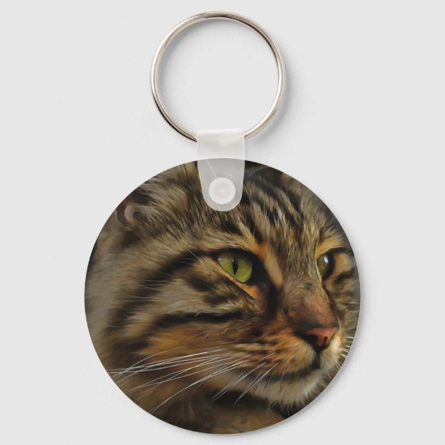 Aslan The Long Haired Tabby Cat Key Ring (Front)