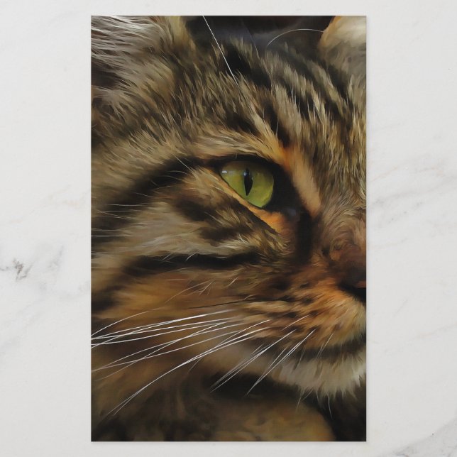 Aslan The Long Haired Tabby Cat Stationery (Front)