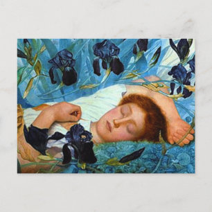 Asleep in the Irises Postcard