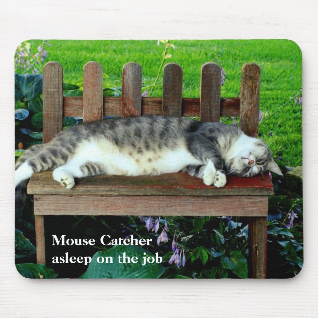 Asleep on the Job Mouse Mat (Front)