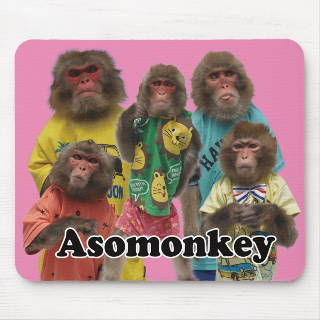 Asomonkey mouse pad version2.　Asomonkeyみんなのマウスパッド2 (Front)