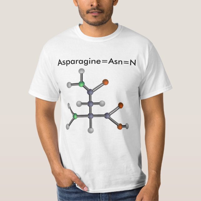 Asparagine (amino acid) T-Shirt (Front)