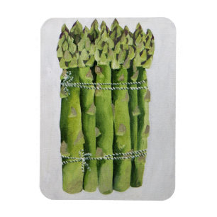 Asparagus 2013 magnet