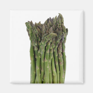 Asparagus Magnet
