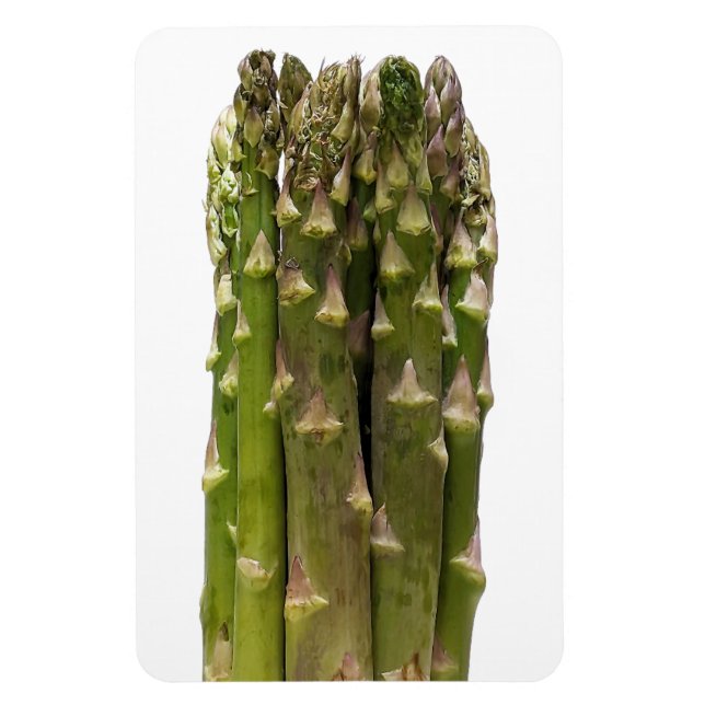 Asparagus Photo Magnet (Vertical)