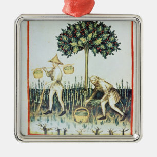 Asparagus Pickers, 13th century Metal Tree Decoration