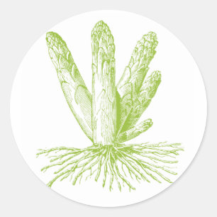 Asparagus Stickers