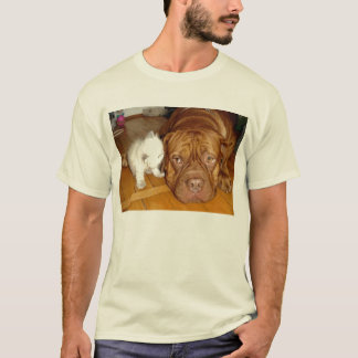 aspca boxer kitten pals T-Shirt