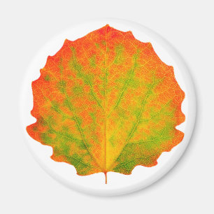 Aspen autumn leaf magnet