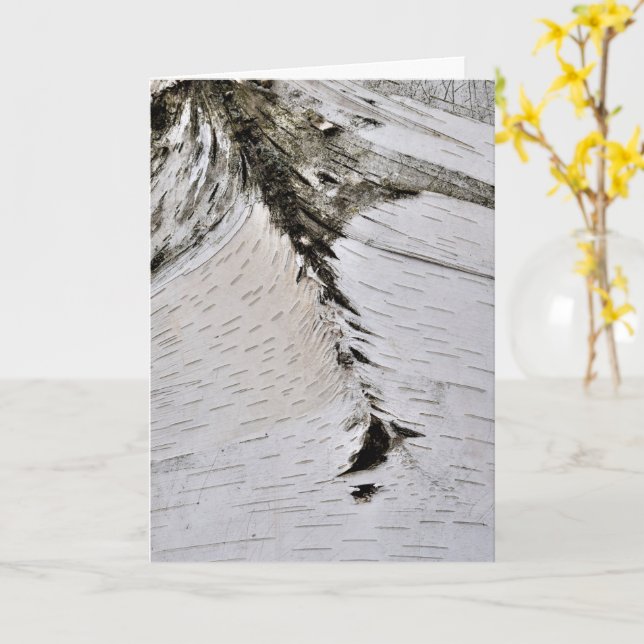 Aspen Bark Close Up Card (Yellow Flower)