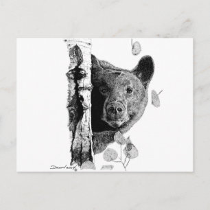 Aspen Bear Postcard