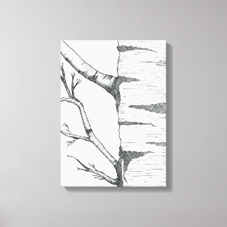 Aspen canvas print