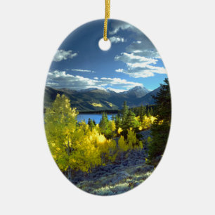Aspen Ceramic Tree Decoration