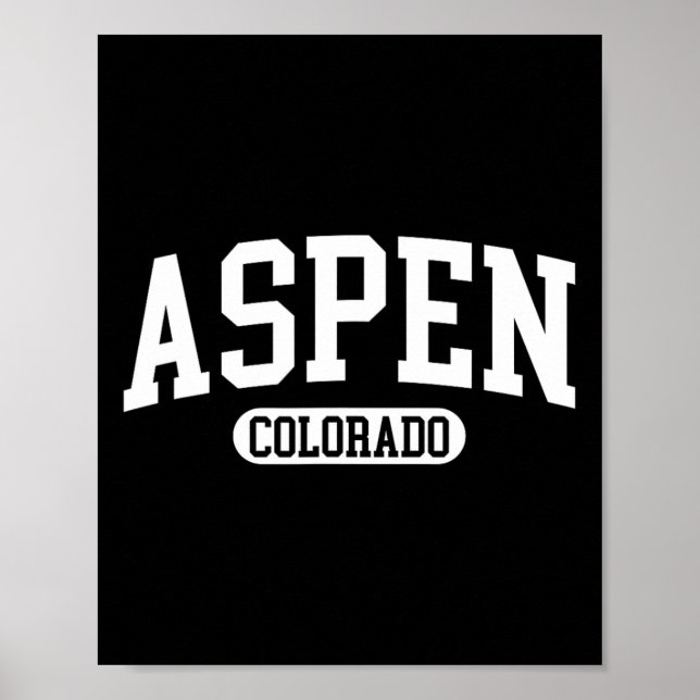 Aspen Colorado Winter Ski Skiing Gift  Poster (Front)
