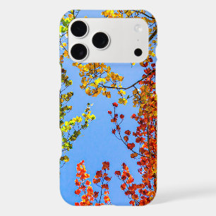 Aspen Colour Candy // Fall Leaf Colours