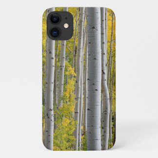 Aspen Fall Colours Tree Trunks Yellow Splendour iPhone 11 Case