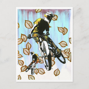 Aspen Folly Postcard