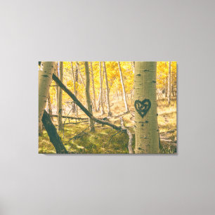 Aspen Forest in Autumn Canvas Print