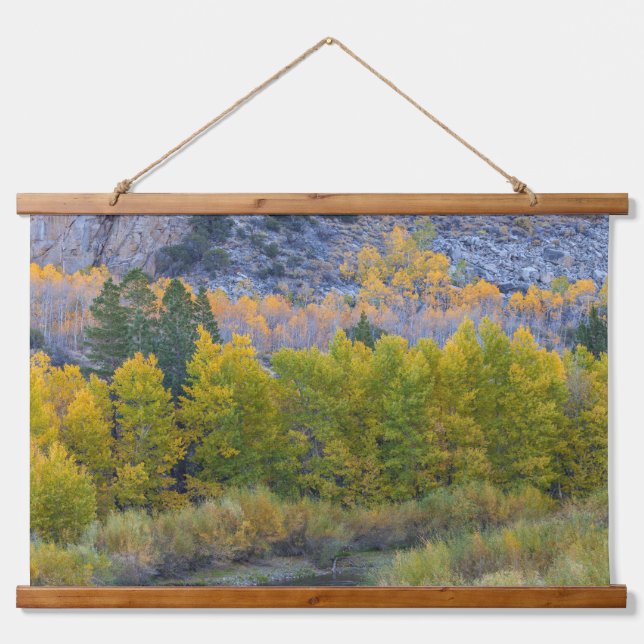 Aspen Forest in Autumn  Hanging Tapestry (Front)
