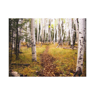 Aspen Forest in the fall Canvas Print