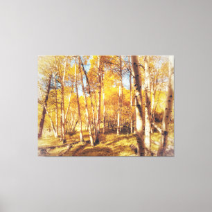 Aspen Forest in Vibrant Fall Colours  Canvas Print