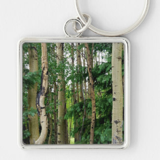 Aspen Forest Key Ring
