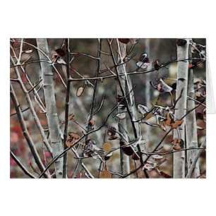 Aspen Forest Late Autumn