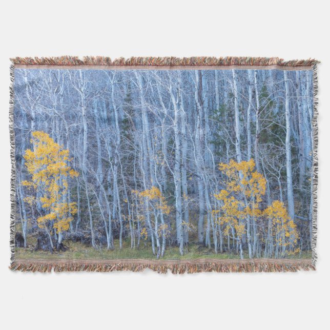 Aspen Forest Throw Blanket (Front)