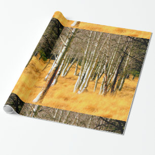 aspen forest wrapping paper