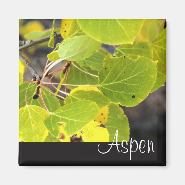 Aspen fridge magnet (Front)