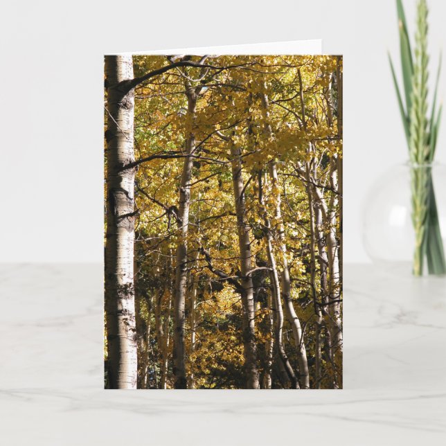 Aspen Gold Card (Front)