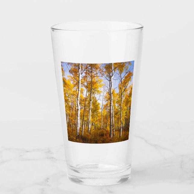 Aspen Groove Yellow Fall Leaves Glass (Front)