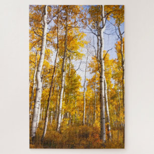 Aspen Groove Yellow Fall Leaves Jigsaw Puzzle