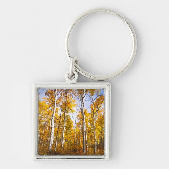 Aspen Groove Yellow Fall Leaves Key Ring (Front)
