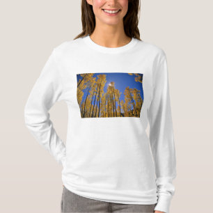 Aspen grove in autumn in the San Juan Range of T-Shirt