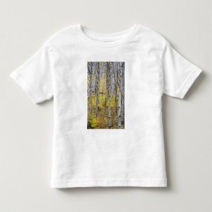 Aspen grove in peak fall colour in Glacier Toddler T-Shirt