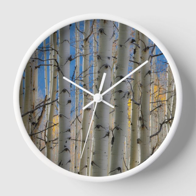 Aspen Groves | Colorado Rocky Mountains Clock (Front)
