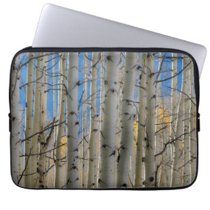 Aspen Groves Colorado Rocky Mountains Laptop Sleeve