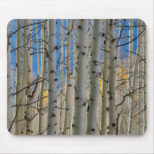 Aspen Groves   Colorado Rocky Mountains Mouse Mat
