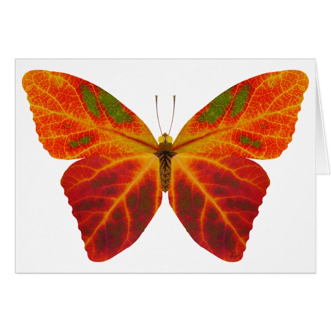 Aspen Leaf Butterfly 2 (Front Horizontal)