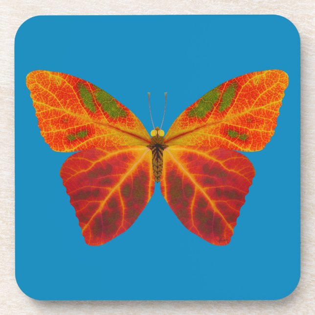 Aspen Leaf Butterfly 2 Coaster (Front)