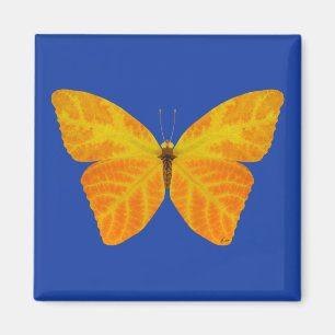 Aspen Leaf Butterfly 3 Magnet