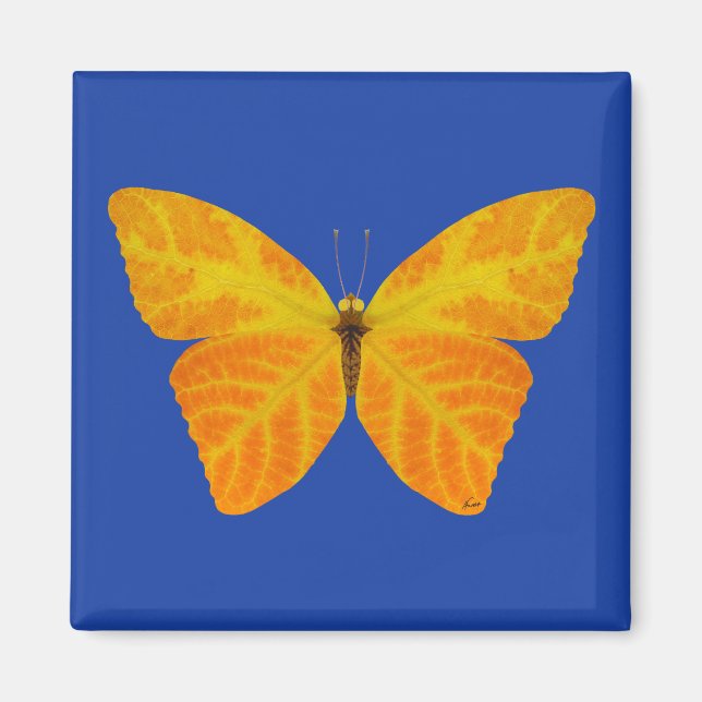 Aspen Leaf Butterfly 3 Magnet (Front)