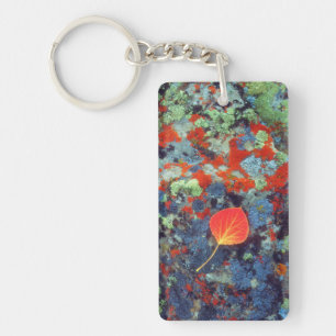 Aspen leaf on a lichen covered rock key ring