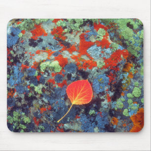 Aspen leaf on a lichen covered rock mouse mat