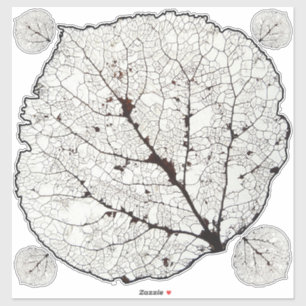 Aspen Leaf Skeleton 1