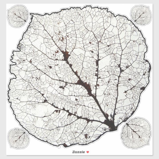 Aspen Leaf Skeleton 1 (Sheet)