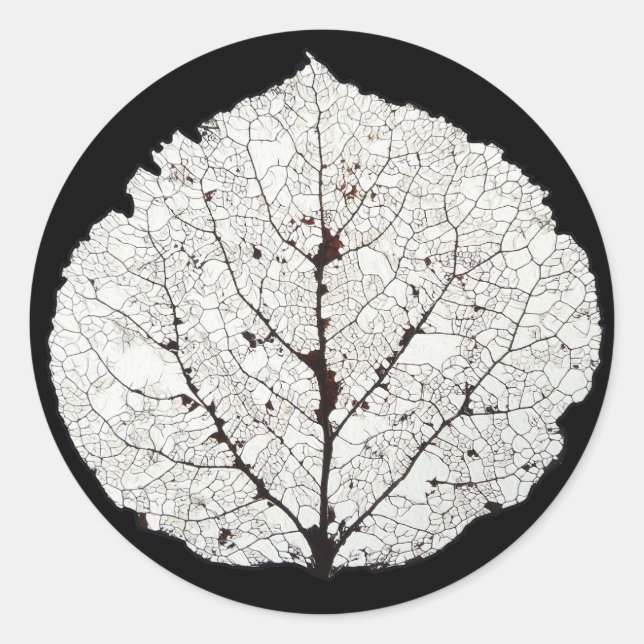 Aspen Leaf Skeleton 1 Classic Round Sticker (Front)