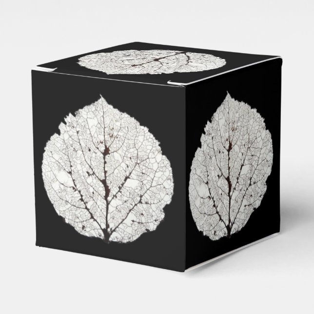 Aspen Leaf Skeleton 1 Favour Box (Front Side)